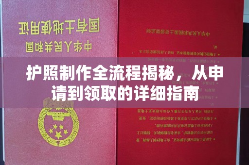 汕尾护照制作全流程揭秘，从申请到领取的详细指南