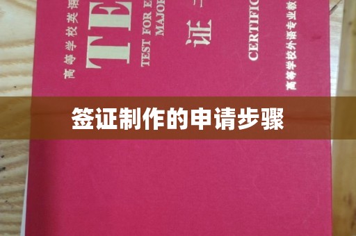 汕尾签证制作的申请步骤