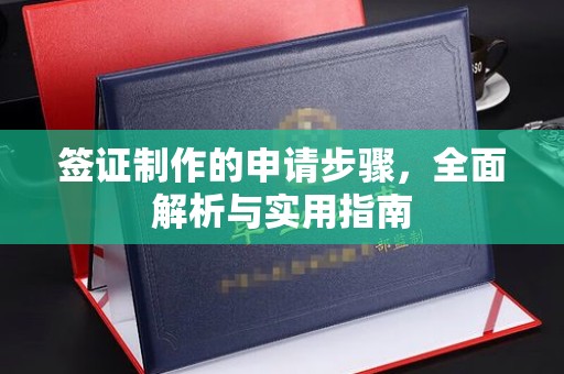 汕尾签证制作的申请步骤，全面解析与实用指南