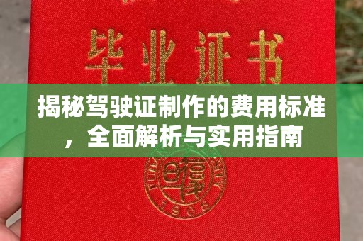 汕尾揭秘驾驶证制作的费用标准，全面解析与实用指南