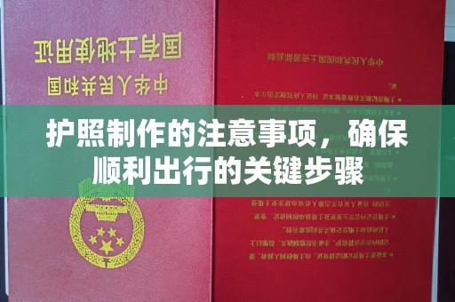 汕尾护照制作的注意事项，确保顺利出行的关键步骤