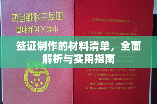 汕尾签证制作的材料清单，全面解析与实用指南