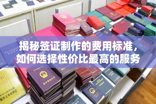 汕尾揭秘签证制作的费用标准，如何选择性价比最高的服务？