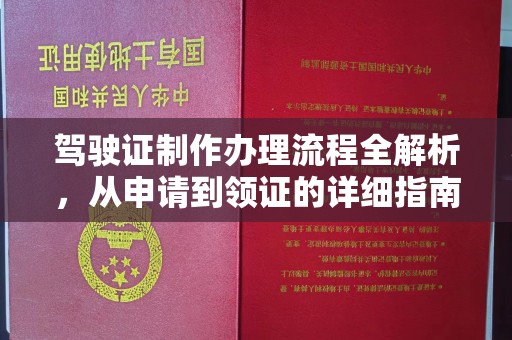 汕尾驾驶证制作办理流程全解析，从申请到领证的详细指南