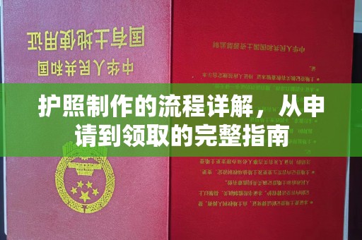 汕尾护照制作的流程详解，从申请到领取的完整指南