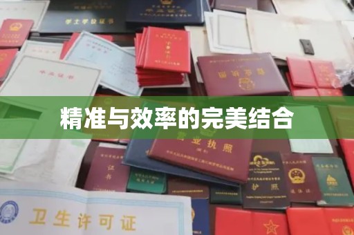 汕尾精准与效率的完美结合